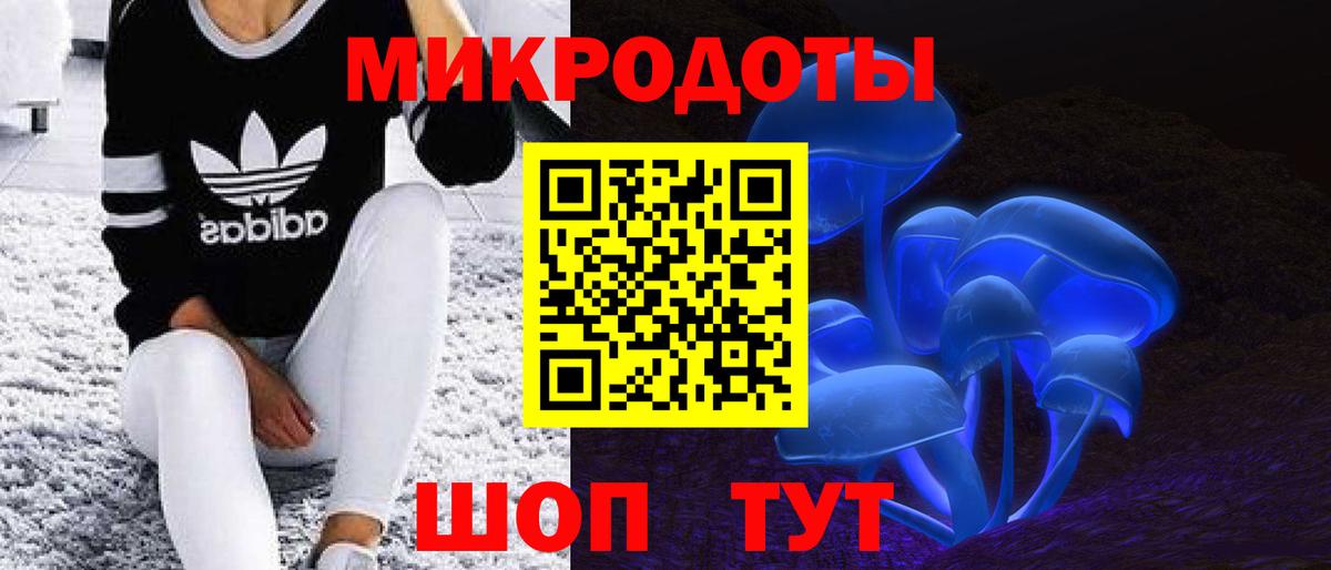 Галлюциногенные грибы Psilocybe Качканар